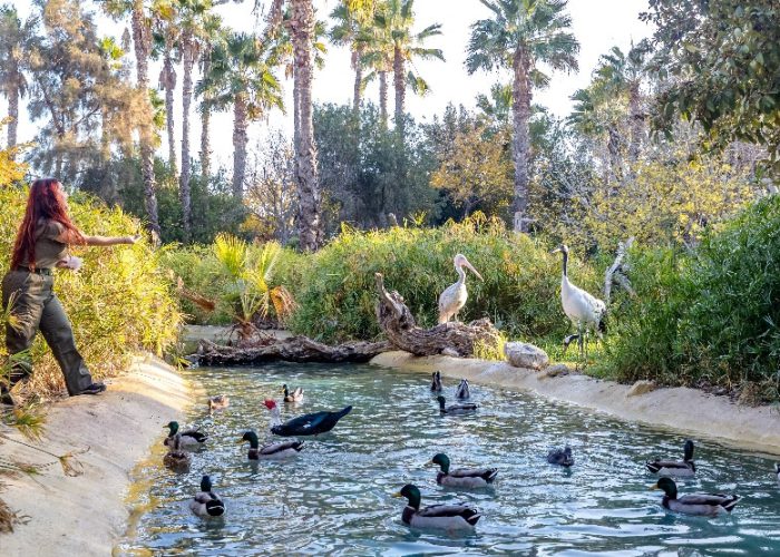 Terra Natura Benidorm con niños una guía completa, precios y pase anual 5 AQUA NATURA benidorm parque