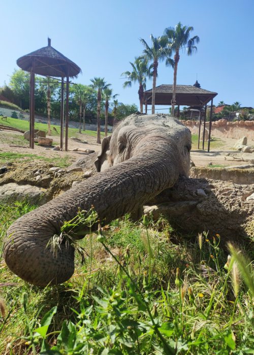 terra natura y aqua natura