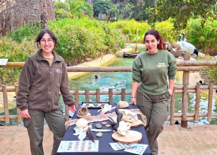 Terra Natura Benidorm con niños una guía completa, precios y pase anual 4 FOTO 5 TERRA NATURA benidorm_pase anual