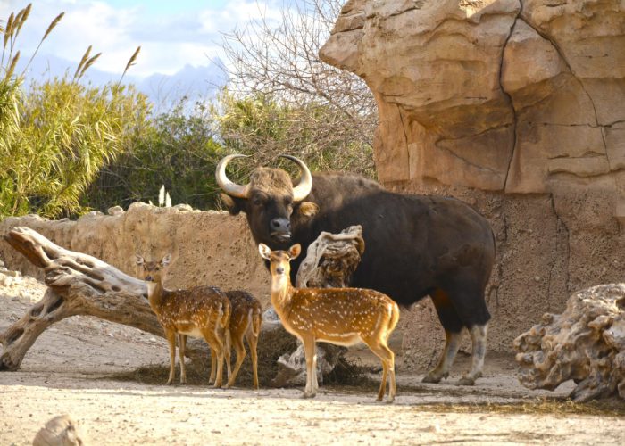 Terra Natura Benidorm