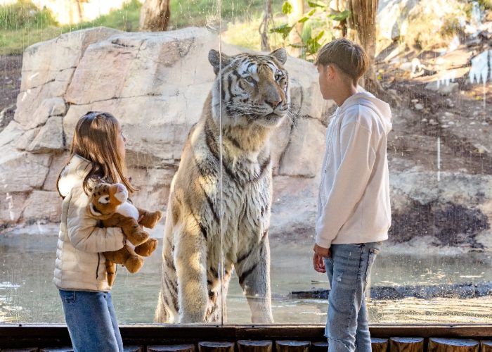 Terra Natura Benidorm con niños una guía completa, precios y pase anual 2 TERRA NATURA Benidorm