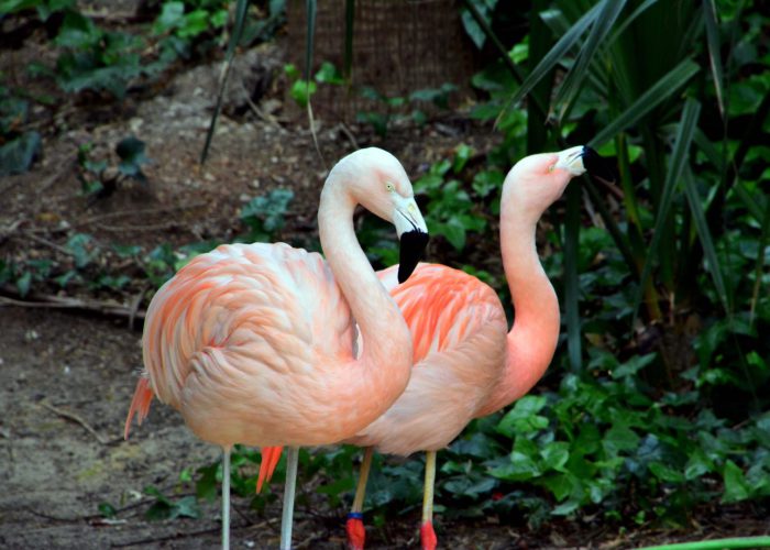 Terra Natura Benidorm